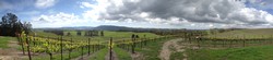 2016 Pinot Meunier - Parliament Hills Vineyard