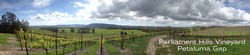 2017 Pinot Meunier - Parliament Hills Vineyard