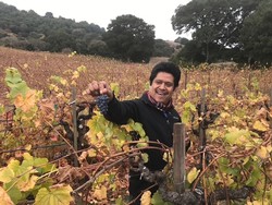 2022 Pinot Noir - La Costa Vineyard