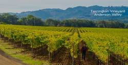 Mending Fences - Mendocino Chardonnay