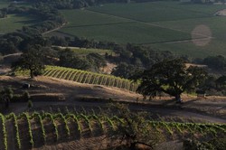 2012 Pinot Noir - Londer Vineyard