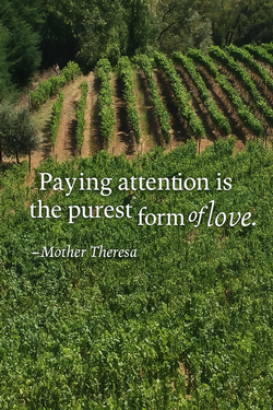 Pay Attention Case