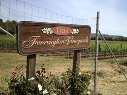 2017 Recherché Reserve Pinot Noir - Ferrington Vineyard