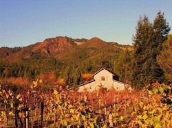 2014 Reserve Chardonnay - Hays Vineyard - Estate Bottled