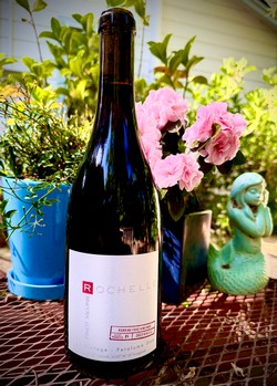 2023 Roaring Frog Vineyard Pinot Meunier