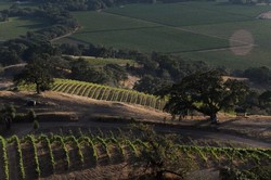 2022 National Pinot Noir Case Offer