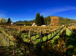 2019 Recherché Reserve Chardonnay - Easley Vineyard - Estate Bottled