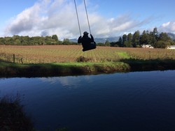 2017 Recherché Reserve Pinot Noir - van der Kamp Vineyard